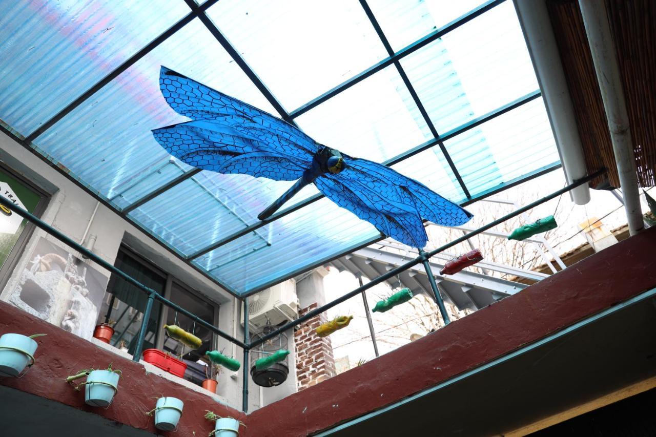 Hoja Hostel ติรานา ภายนอก รูปภาพ
